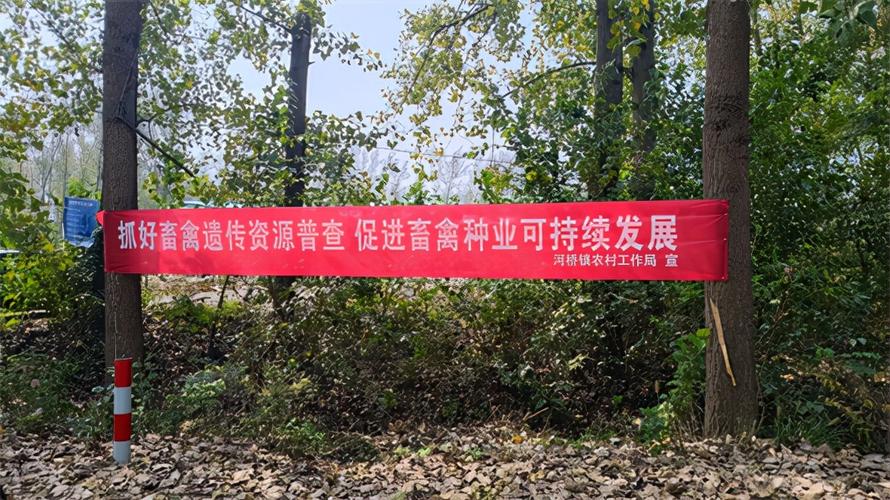 布圭畜牧养殖